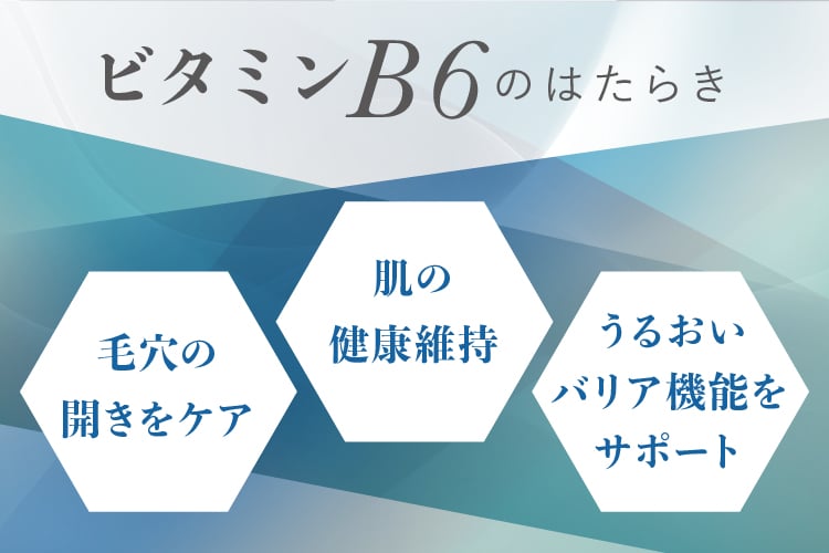バランシングモイスチャライザー(100mL)＜化粧水＞ | センシティブ