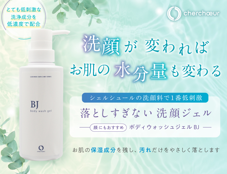 シェルシュール　スキンケア 5点セット シェルシュール スキンケア 5点セット