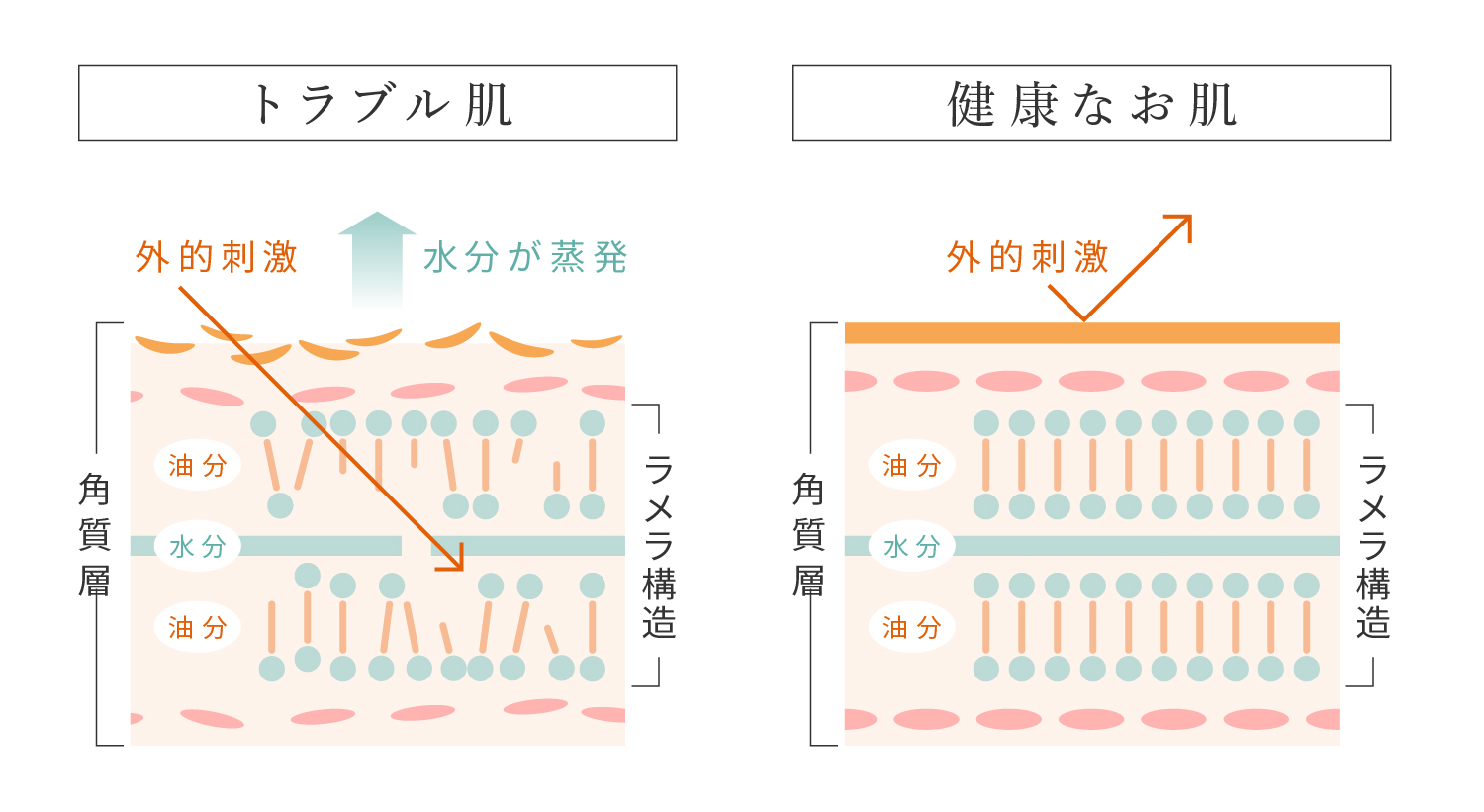 化粧品関係 化粧品メーカー：業界研究】日本の大手4社（花王・資生堂・コーセー