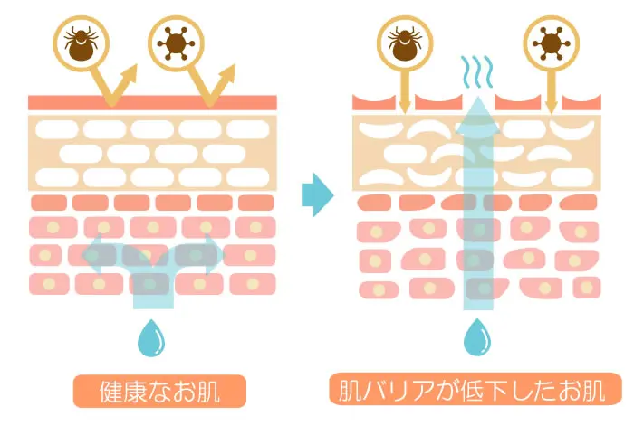 ボディウォッシュジェルBJ(300g)＜全身用洗浄料＞ | 超敏感肌シリーズ