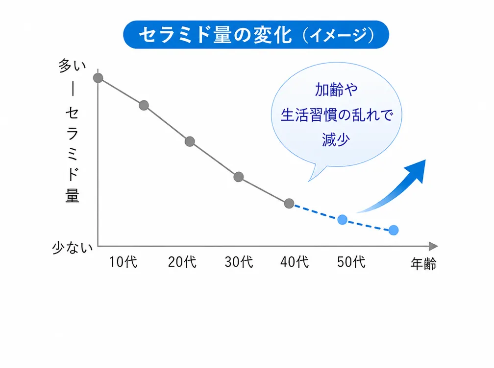 セラミド量の変化イメージグラフ