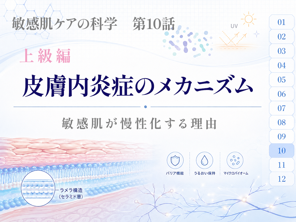 皮膚内炎症のメカニズムー敏感肌が慢性化する理由