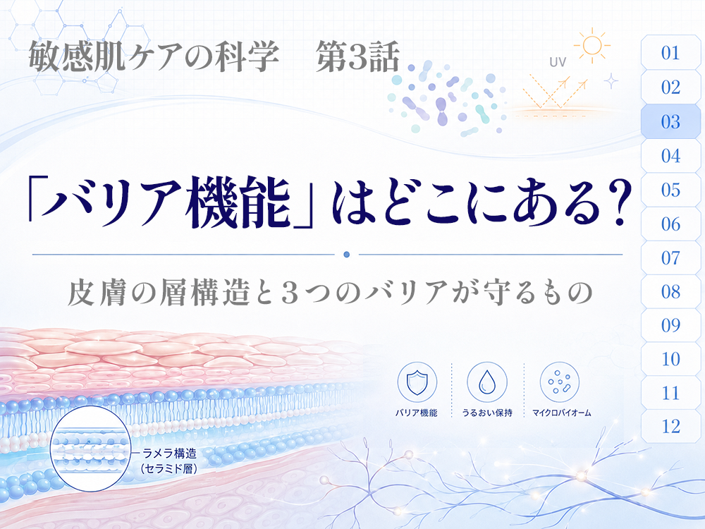 バリア機能はどこにある？ー皮膚の層構造と３つのバリアが守るもの