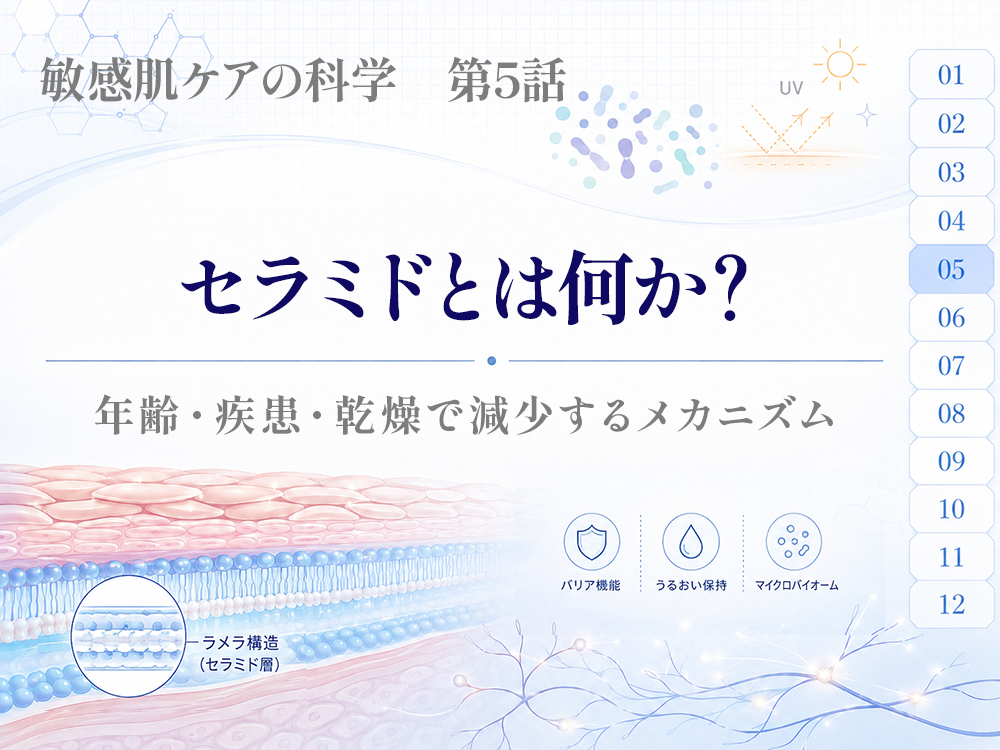 セラミドとは何か？ー年齢・疾患・乾燥で減少するメカニズム