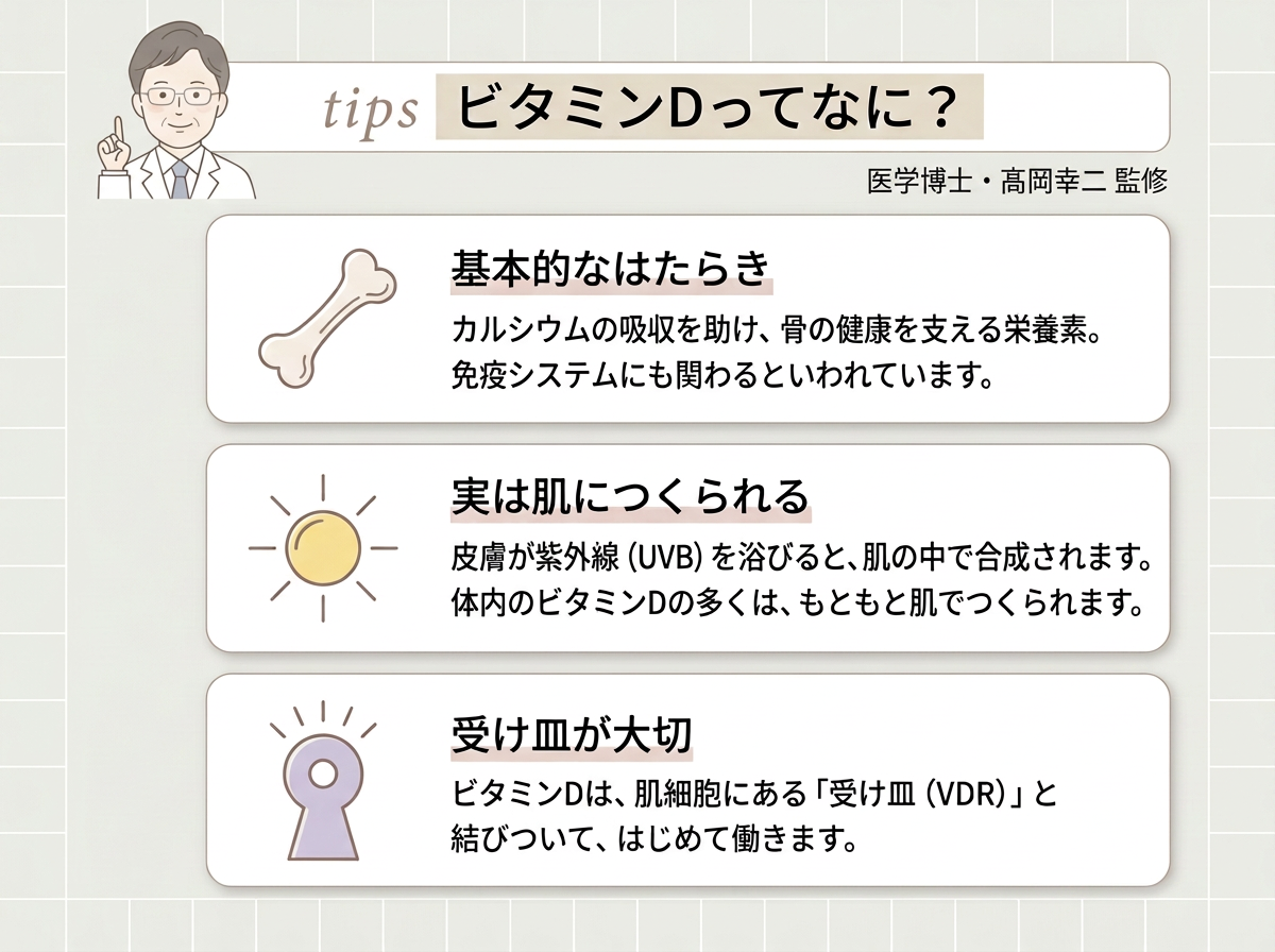 ビタミンDってなに？