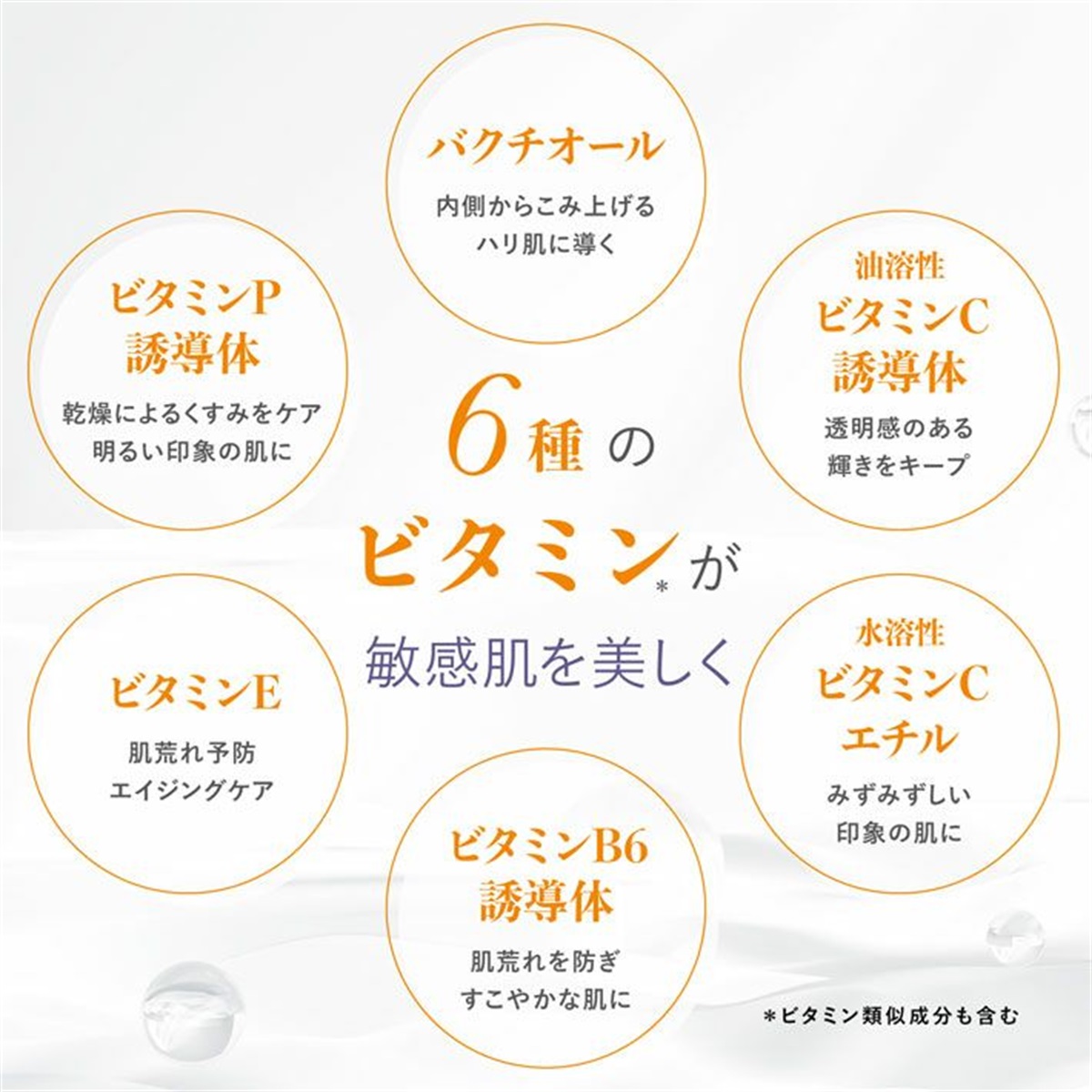 DSRオンラインショップ ページタイトル